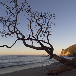 Similar image 8006746