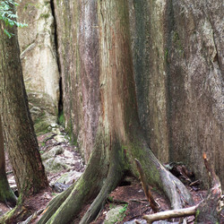 Similar image 8006749