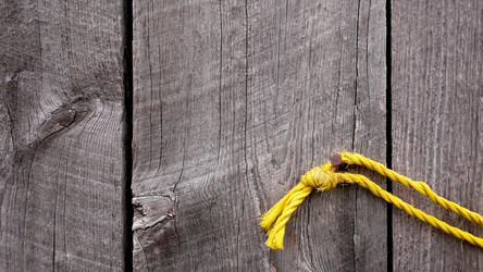 Similar image 8006750