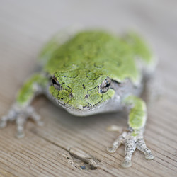 Similar image 8006751