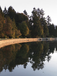 Similar image 8006754