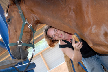 Similar image 8006757