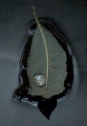 Similar image 8006763