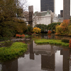 Similar image 8006766