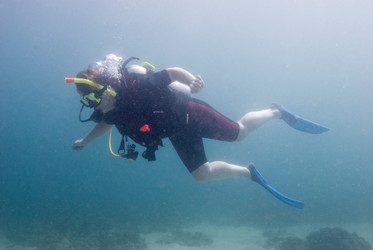 Similar image 8006767