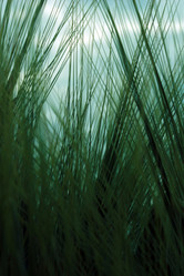 Similar image 8006769