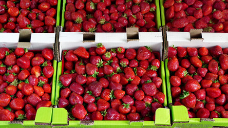 Similar image 8006771