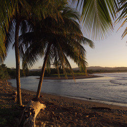 Similar image 8006776