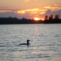 Similar image 8006778