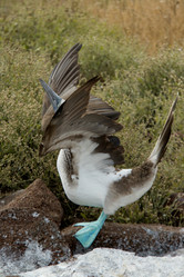 Similar image 8006781