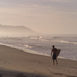 Similar image 8006782