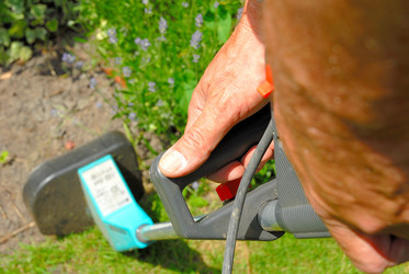 Similar image 8006789