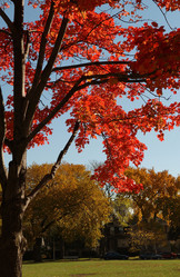 Similar image 8006793