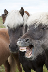 Similar image 8006812