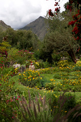 Similar image 8006813