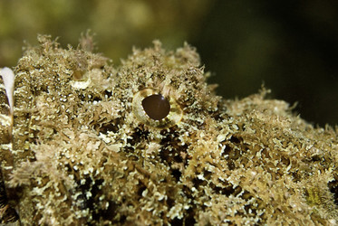 Similar image 8006814