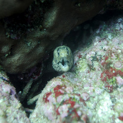 Similar image 8006819