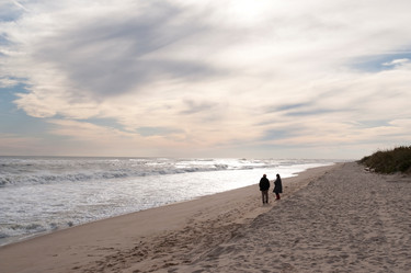 Similar image 8006830