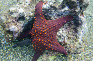 Similar image 8006831