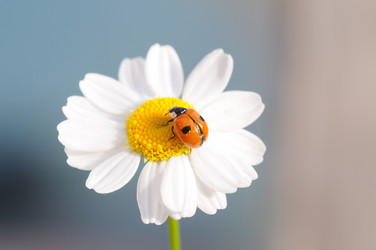 Similar image 8006833