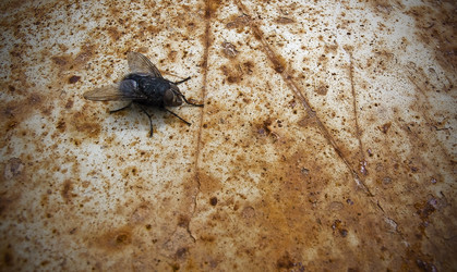 Similar image 8006839