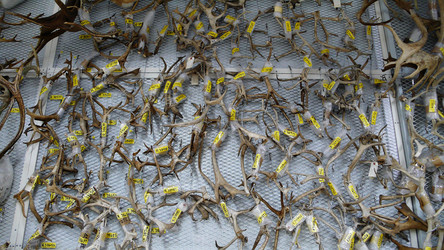 Similar image 8006841