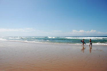 Similar image 8006846