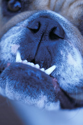 Similar image 8006851