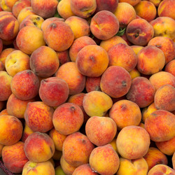 Similar image 8006853