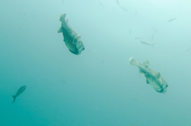 Similar image 8006856