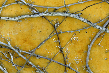 Similar image 8006864