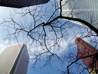 Similar image 8006865