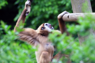 Similar image 8006867