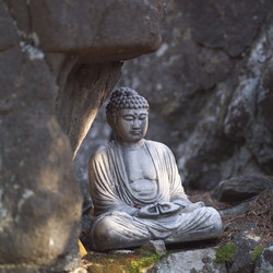 Similar image 8006871