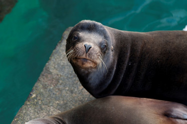 Similar image 8006873