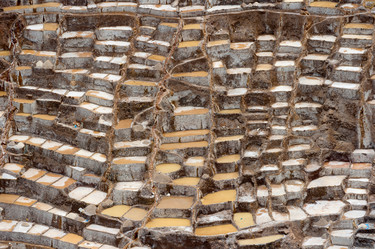 Similar image 8006874