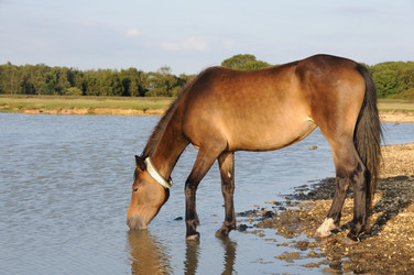 Similar image 8006878