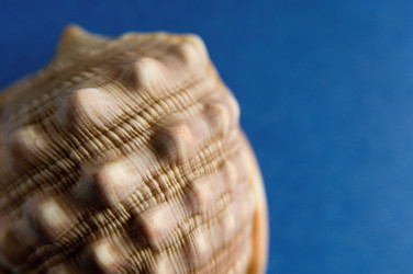 Similar image 8006887