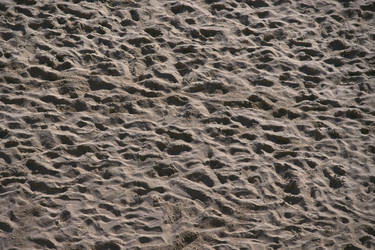 Similar image 8006896