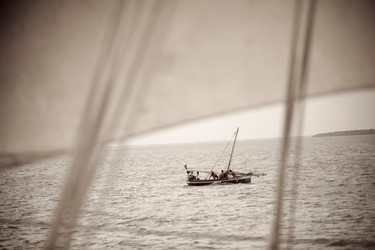 Similar image 8006898