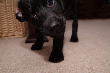 Similar image 8006903