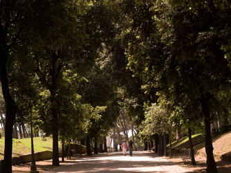 Similar image 8006907