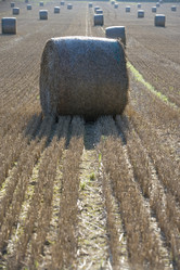 Similar image 8006919