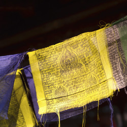 Similar image 8006920