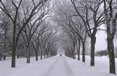 Similar image 8006924