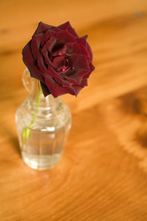 Similar image 8006941