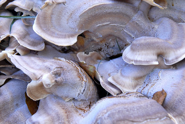 Similar image 8006943