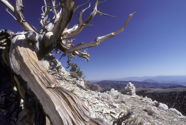 Similar image 8006948