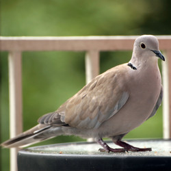 Similar image 8006949