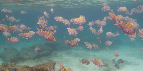 Similar image 8006959